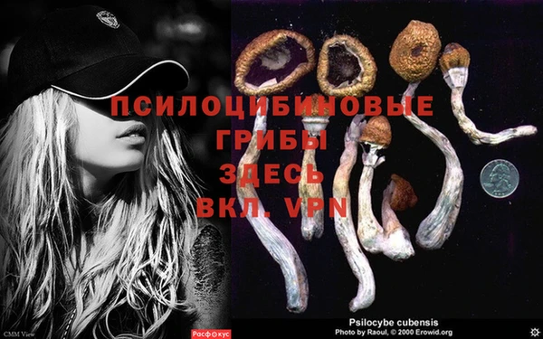 PSILOCYBIN Заволжск