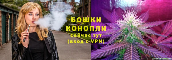 гидра Зеленодольск