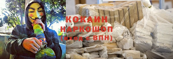 гидра Зеленодольск