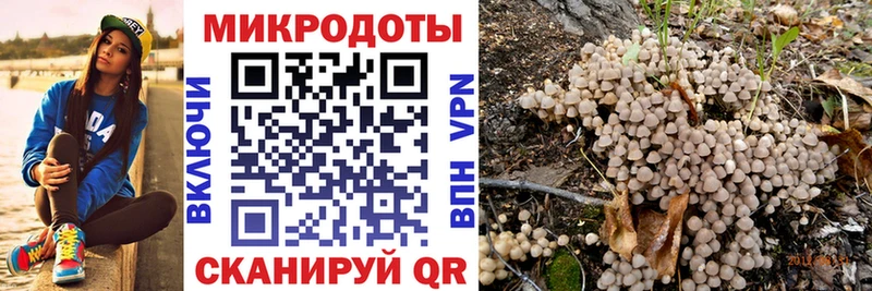 Псилоцибиновые грибы мухоморы  Купить закладки  Кашин 